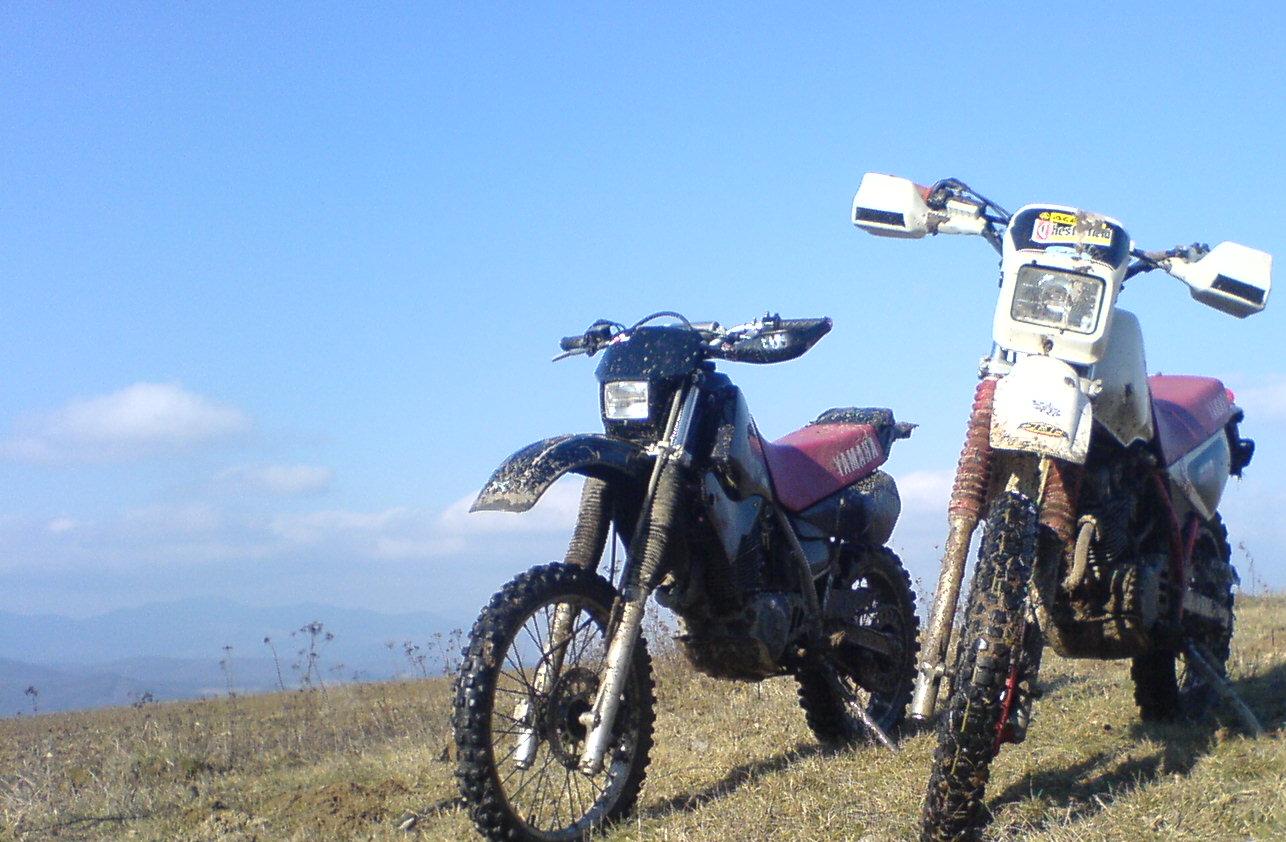 MOJA NEW XT 350