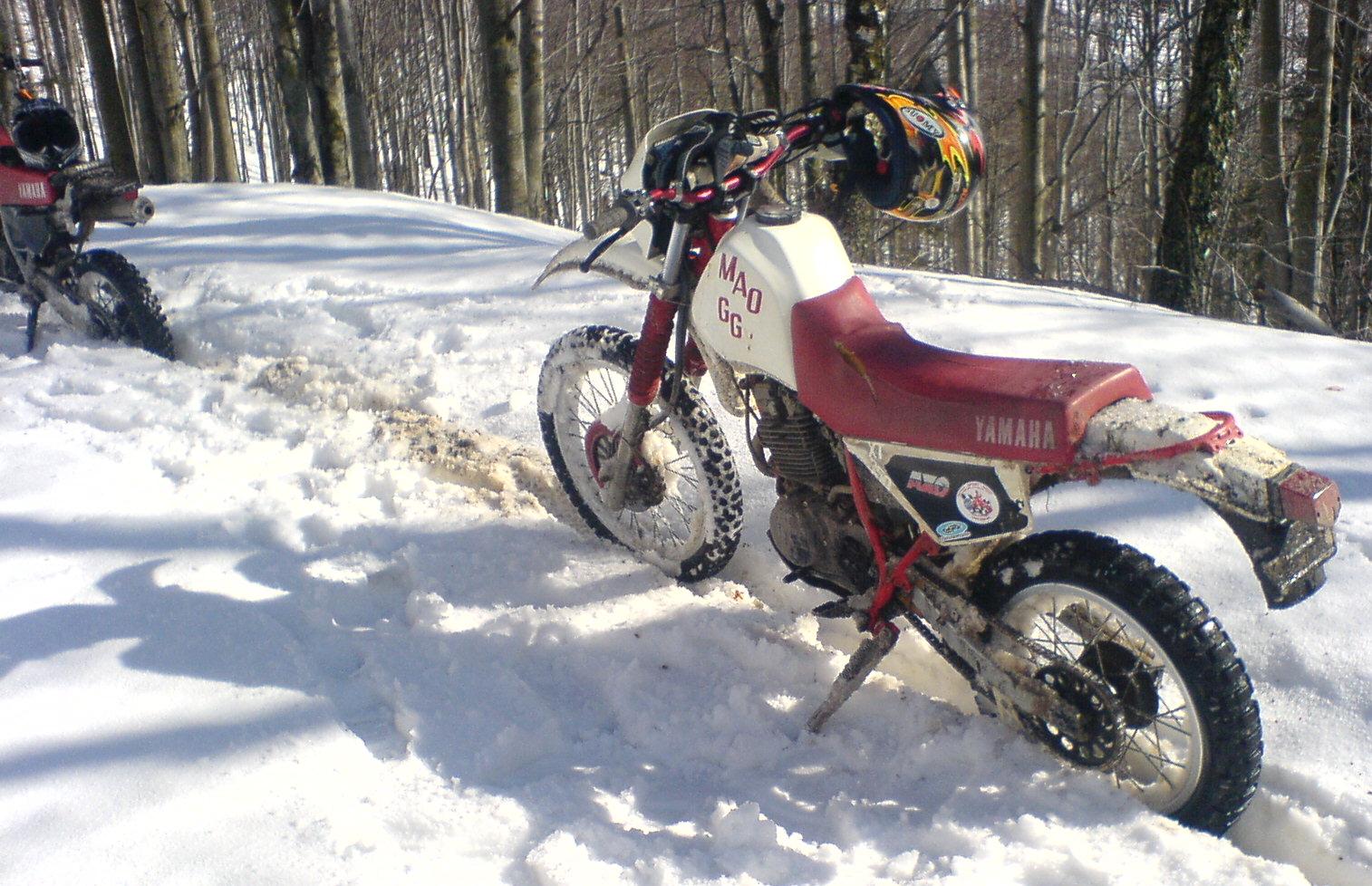 TAKTO SME SA BRODILI V SNEHU ASI cca 1-2 KM...SILA